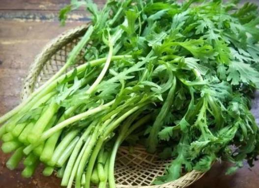 茼蒿可以長期吃嗎?炒茼蒿不焯水行嗎