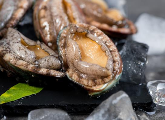 鮑魚粥需要炒下鮑魚嗎?冷凍鮑魚的保質期是多久