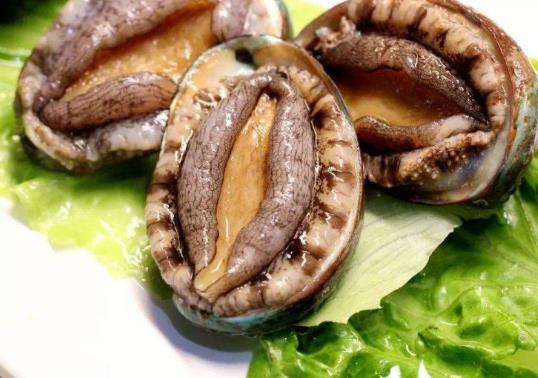 鮑魚(yú)怎么煮粥才好吃?活的鮑魚(yú)怎么處理干凈