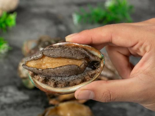 鮑魚粥需要炒下鮑魚嗎?冷凍鮑魚的保質期是多久