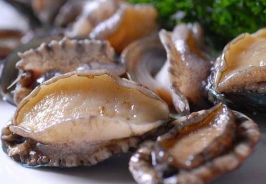 新鮮鮑魚怎么清洗?鮑魚怎么分公母