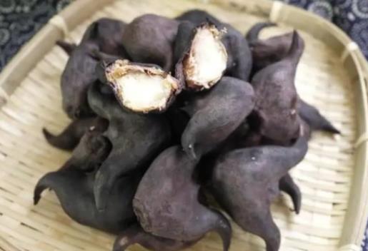 菱角怎么剝開吃?煮菱角的時候要放鹽嗎