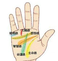 手相圖解:手掌上的五大線紋