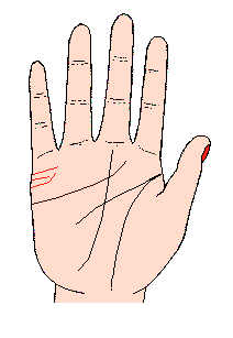 婚姻線(xiàn)圖解:手相婚姻線(xiàn)算命圖解1.gif