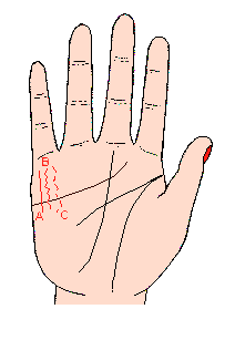 財(cái)運(yùn)線(xiàn)圖解:手相財(cái)運(yùn)線(xiàn)算命圖解1.gif