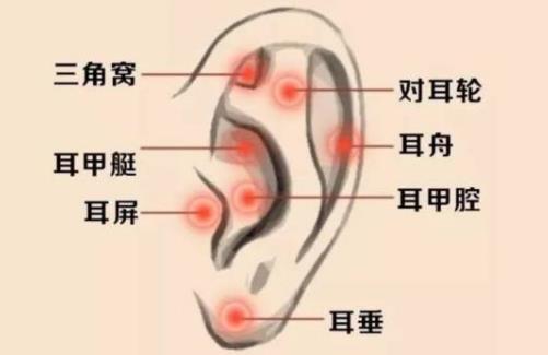 耳垂面相