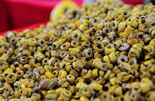 老中醫的最愛:石斛,石斛的功效有哪些?吃石斛的禁忌