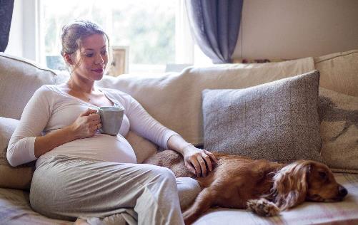 孕婦可以跑步嗎?孕婦做什么運動才好