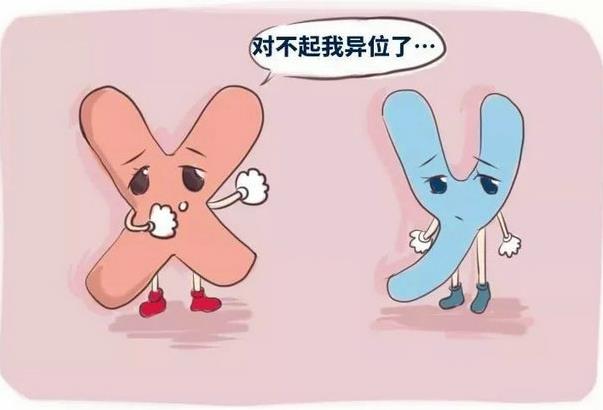 艾貝貝高齡備孕中心專家揭秘卵子不成熟背后的真相
