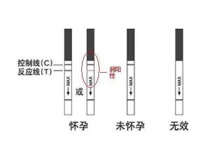 驗孕試紙一深一淺怎么看,武漢仁愛醫(yī)院醫(yī)生來教您!