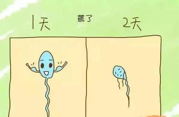 武漢仁愛(ài)醫(yī)院婦產(chǎn)科:巨現(xiàn)實(shí)!每8對(duì)夫妻就有1對(duì)不孕不育,懷孕居然憑運(yùn)氣?
