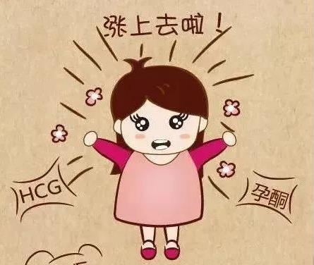 武漢仁愛醫(yī)院婦產(chǎn)科:孕酮和HCG除了提示“懷孕”,它們背后還藏著哪些“秘密”?