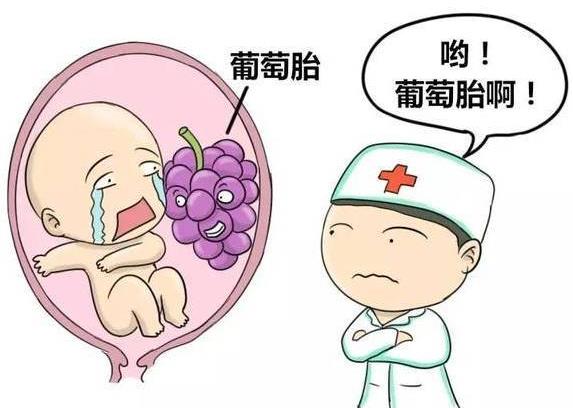 武漢仁愛醫院婦產科:早孕試紙兩條杠?小心是“詐和”!