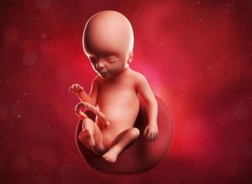 四維彩超和三維彩超有什么區別?思維彩超比三維彩超更好嗎?