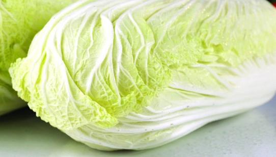白菜種植時間是什么時候?白菜最佳種植時間