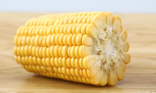 水果玉米種植時間 水果玉米什么時候種植