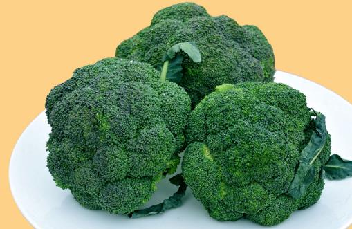 西蘭花種植時間是什么時候?西蘭花最佳種植時間
