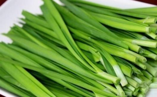韭菜移栽時間是什么時候?韭菜最佳移栽時間