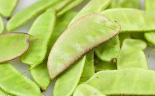 扁豆種植時間是什么時候?扁豆最佳種植時間