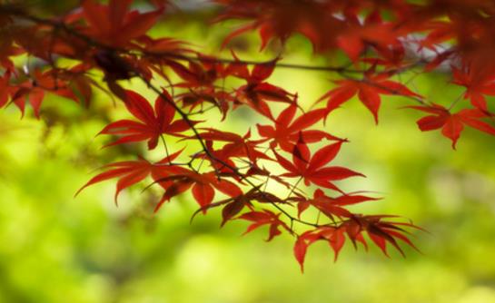 2018年天氣什么時候變涼快 2018年幾月份開始涼快