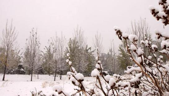 2018北京什么時候下雪 2018北京下雪時間預測
