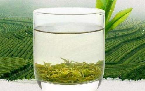 毛尖什么時候喝最好 毛尖最佳飲用時間