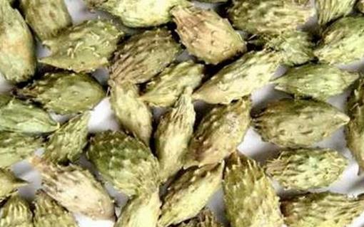 蒼耳子什么時候采摘好 蒼耳子成熟季節