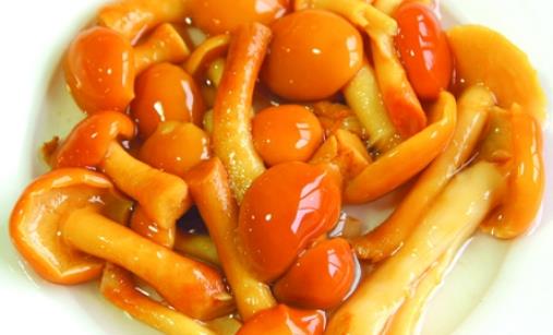 雞油菌什么季節有?雞油菌什么時候采摘