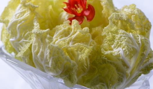 娃娃菜是什么季節(jié)的?娃娃菜什么時(shí)候種植