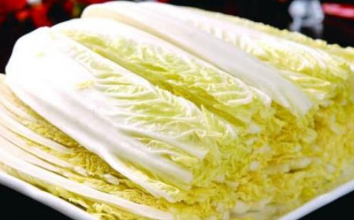 娃娃菜是什么季節(jié)的?娃娃菜什么時(shí)候種植
