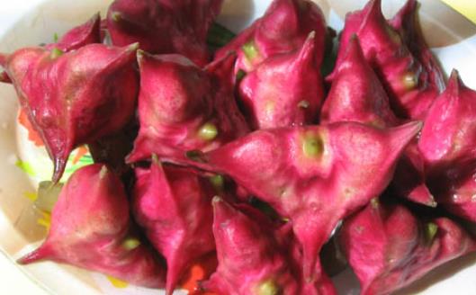 紅菱什么時候上市?什么時候采紅菱