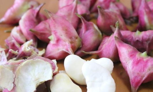 紅菱什么時候上市?什么時候采紅菱