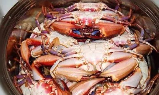 赤甲紅海蟹什么時候肥 赤甲紅海蟹最佳食用時間