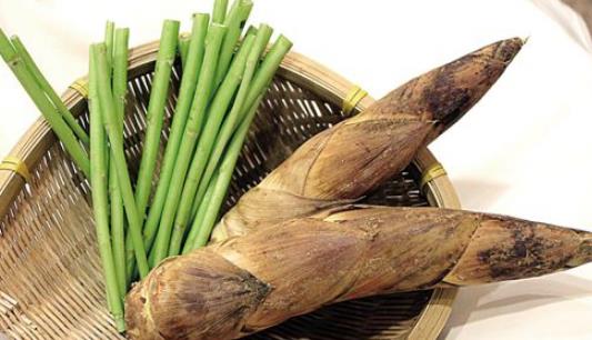 竹筍什么時候發芽?竹筍多長時間破土而出?
