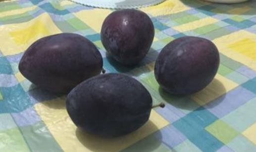 蛔蟲藥什么時候吃 吃蛔蟲藥的最佳時間