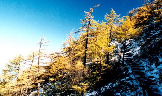 太白山最佳旅游時間 太白山什么時候旅游好