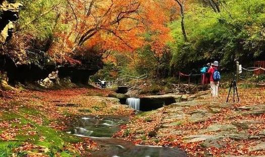 2018黎坪紅葉節什么時候開始 黎坪紅葉節開始時間