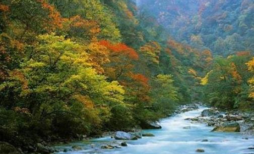 夾金山紅葉節是什么時候舉辦 夾金山紅葉節持續多長時間