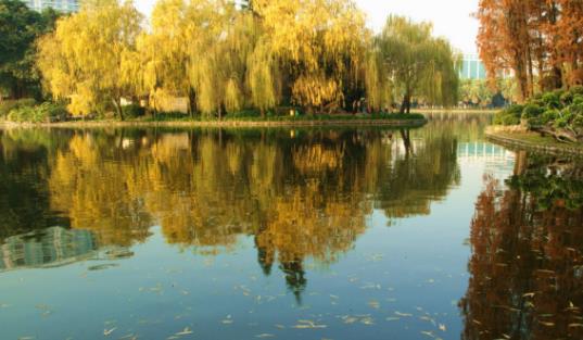 流花湖公園開放時間 流花湖公園什么時候開放