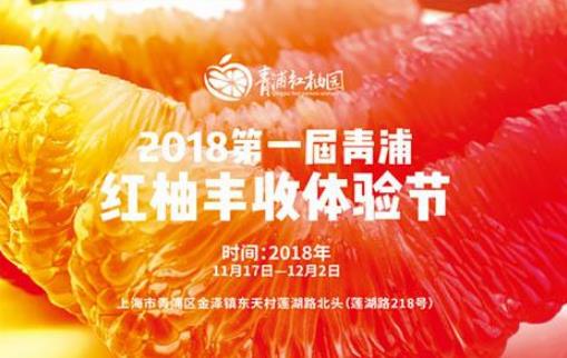 2018上海紅柚采摘體驗活動時間 上海紅柚采摘體驗活動什么時候