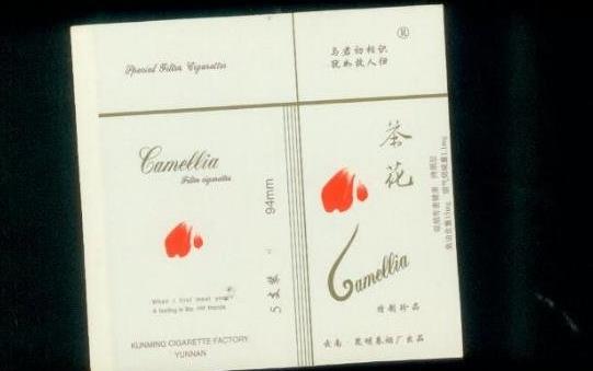 八、茶花.jpg
