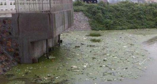 六、河南死亡村.jpg