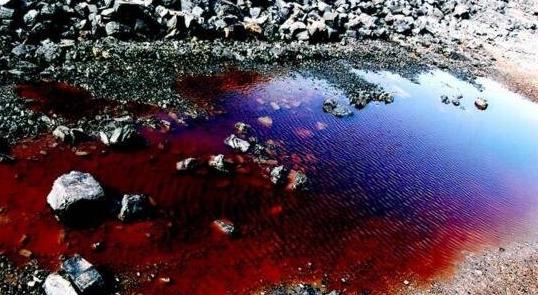 二、安徽死亡村.jpg