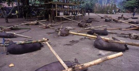 十、湖北死亡村.jpg