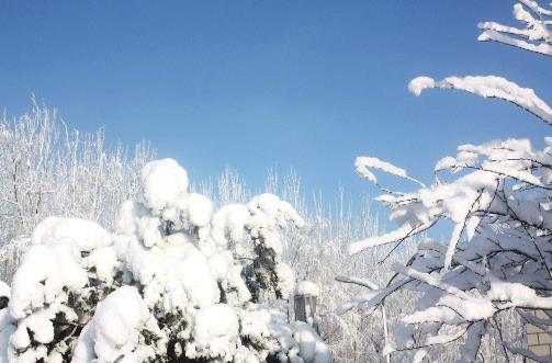 六、《陽(yáng)春白雪.jpg