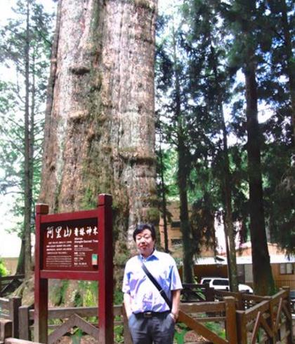 中國(guó)十大千年古樹排行榜,黃帝軒轅柏有5000年歷史!