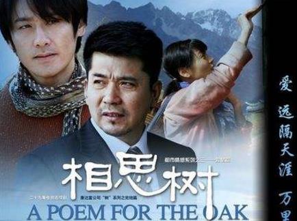 吳秀波演過的十部經(jīng)典電視劇排行榜,《黎明之前》排名第一