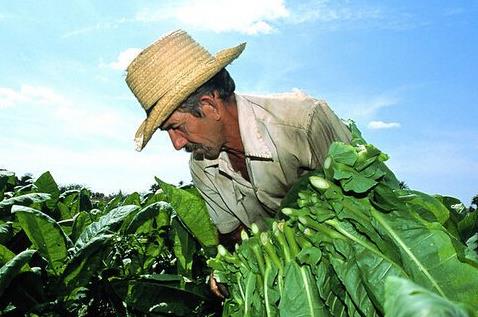 2019年最有前景的十大行業(yè)排行榜,互聯(lián)網(wǎng)服務(wù)行業(yè)最有前途