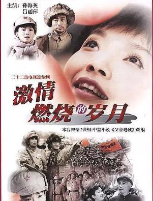 十部最有營養的電視劇排名,《金枝欲孽》《三國演義》都是經典