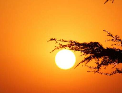 全球十大冒險電影排名,重見天日、荒島余生很驚險刺激